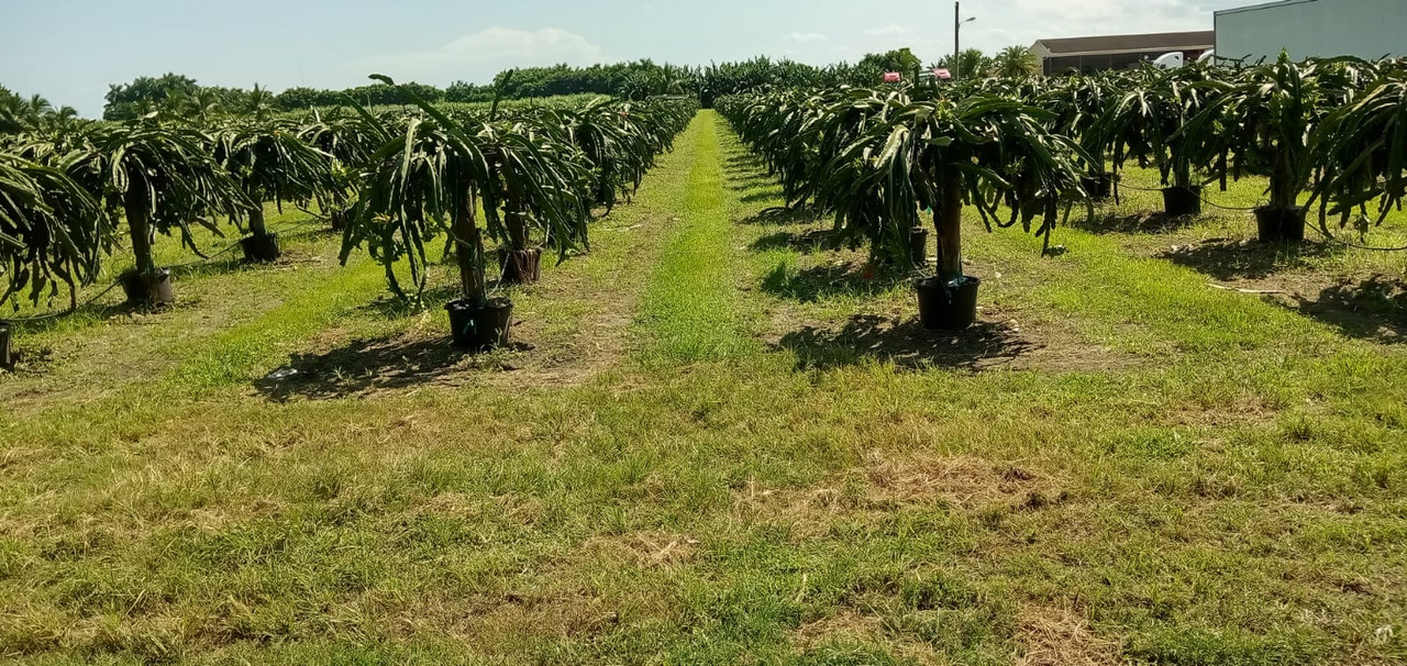 BF17A4AC-3FBF-4FAC-A7A6-656DFA39B902