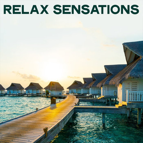 Relax Sensations (Electronic Lounge and Chillout Brani Relax Ibiza 2020) (2020) mp3 320 Kbps