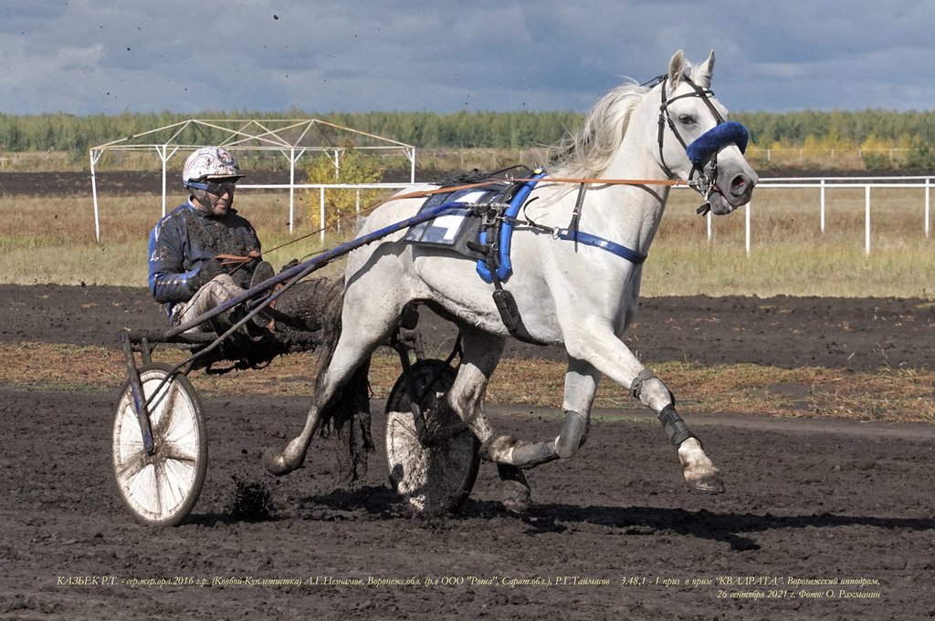 Купить В Орловской Области