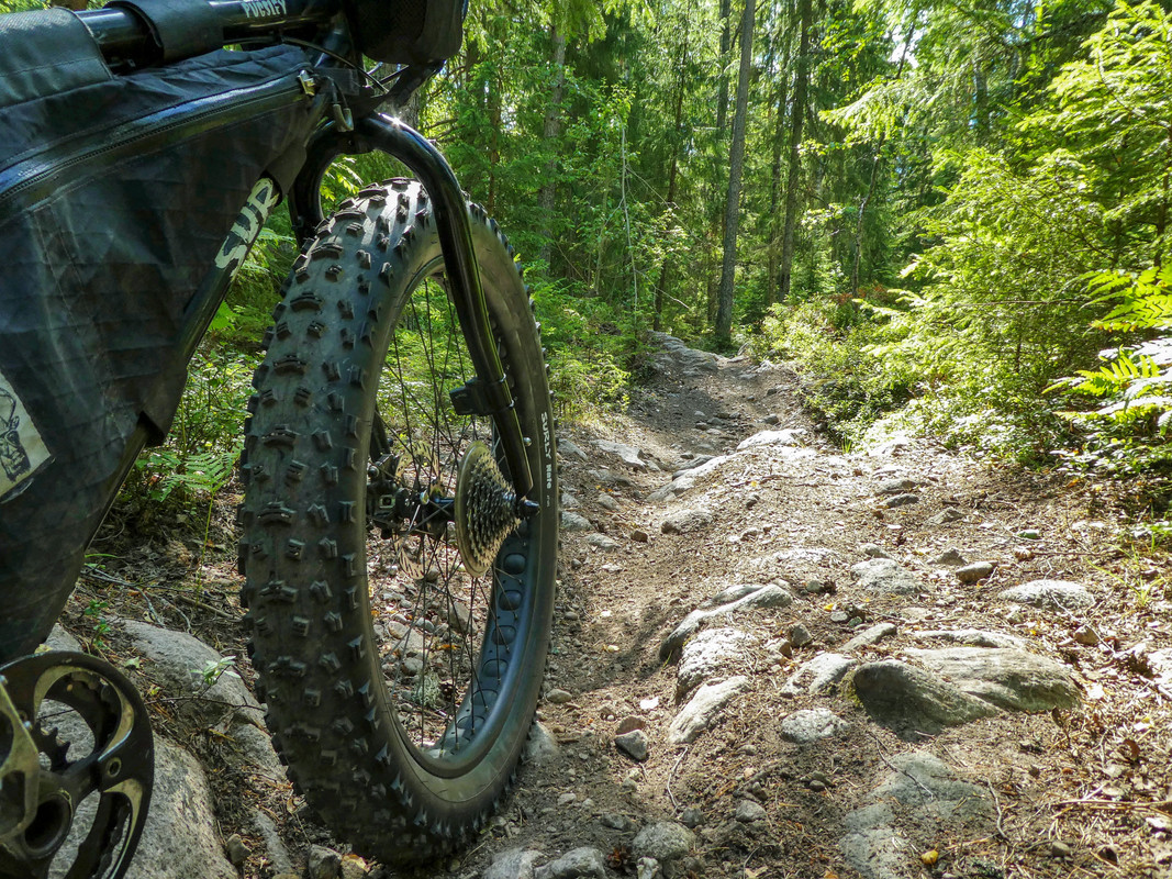 [Linket bilde fra i.postimg.cc]