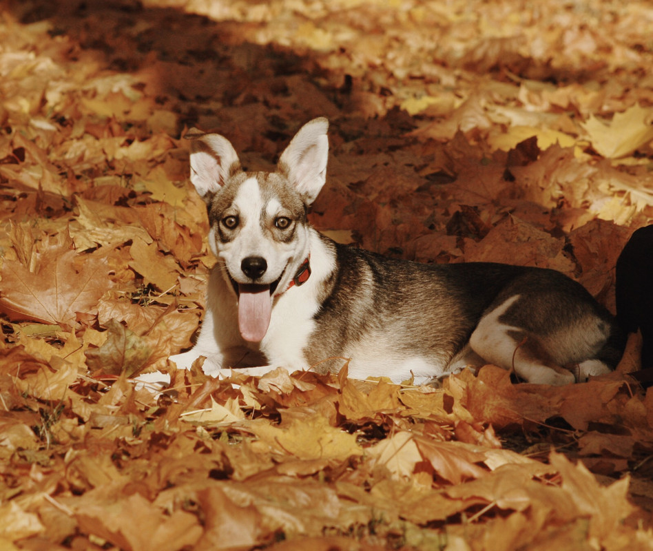 5AE7A684-0A8C-4A40-A721-C8415E9EB744