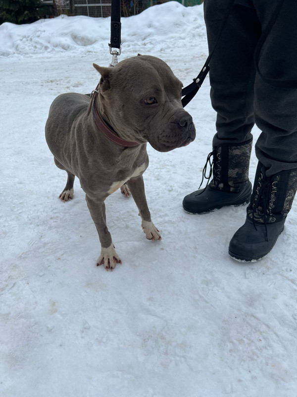 WhatsApp Image 2024-02-05 at 11.16.06 (2)