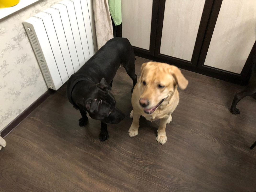 04BC729E-4B2A-487A-B9AE-5688E0A6F789