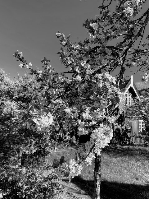 7-A5-D4326-D8-FD-43-B8-8-B7-A-240-D8-BCE