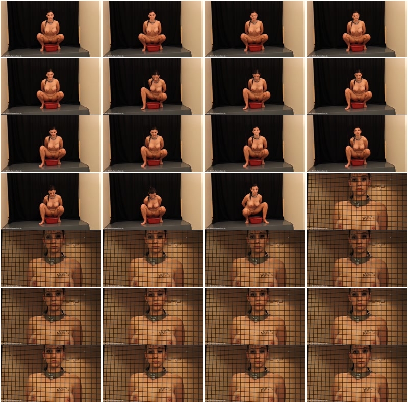 07_p
