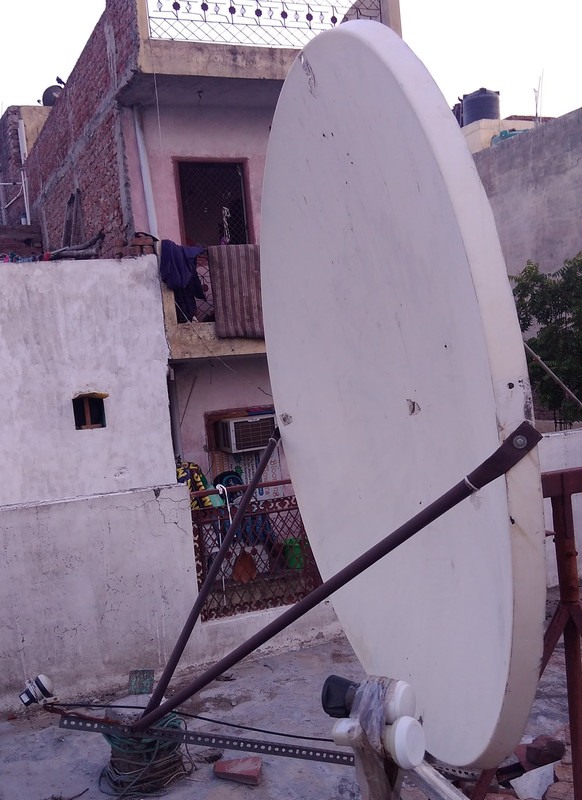 dish