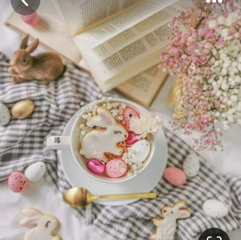 Screenshot_20230312_003155_Pinterest