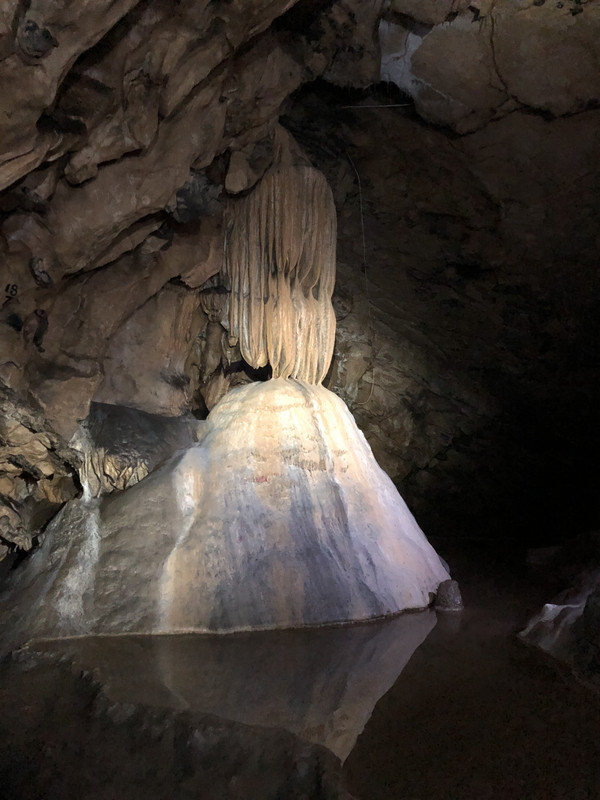 9DEDE8F8-3358-4A0E-BB6C-2B83D78D5570