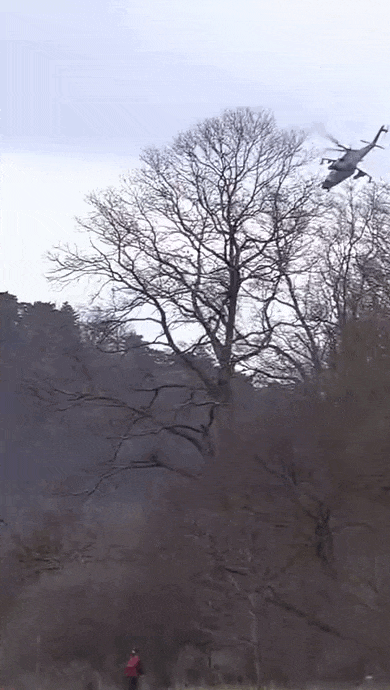https://i.postimg.cc/c4jfFPvm/video-2026-07-01-02-01-23-(1).gif