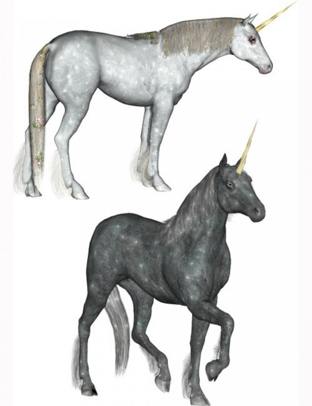 Millenium Horse Poses