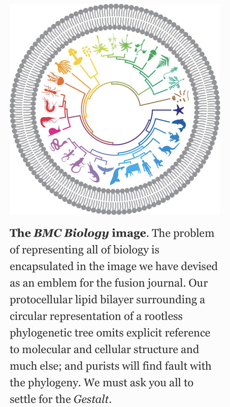 D8EAE342-481E-4410-A92E-785F5BE7701A