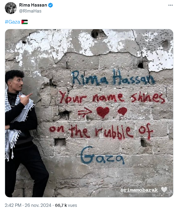 https://i.postimg.cc/c4k2PZpN/rima10.png
