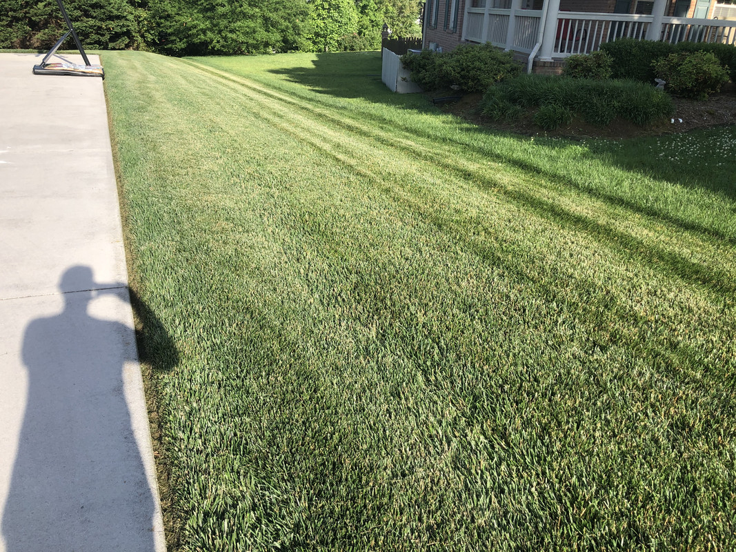 DAA08F36-B40D-44A4-A857-882E2715393A