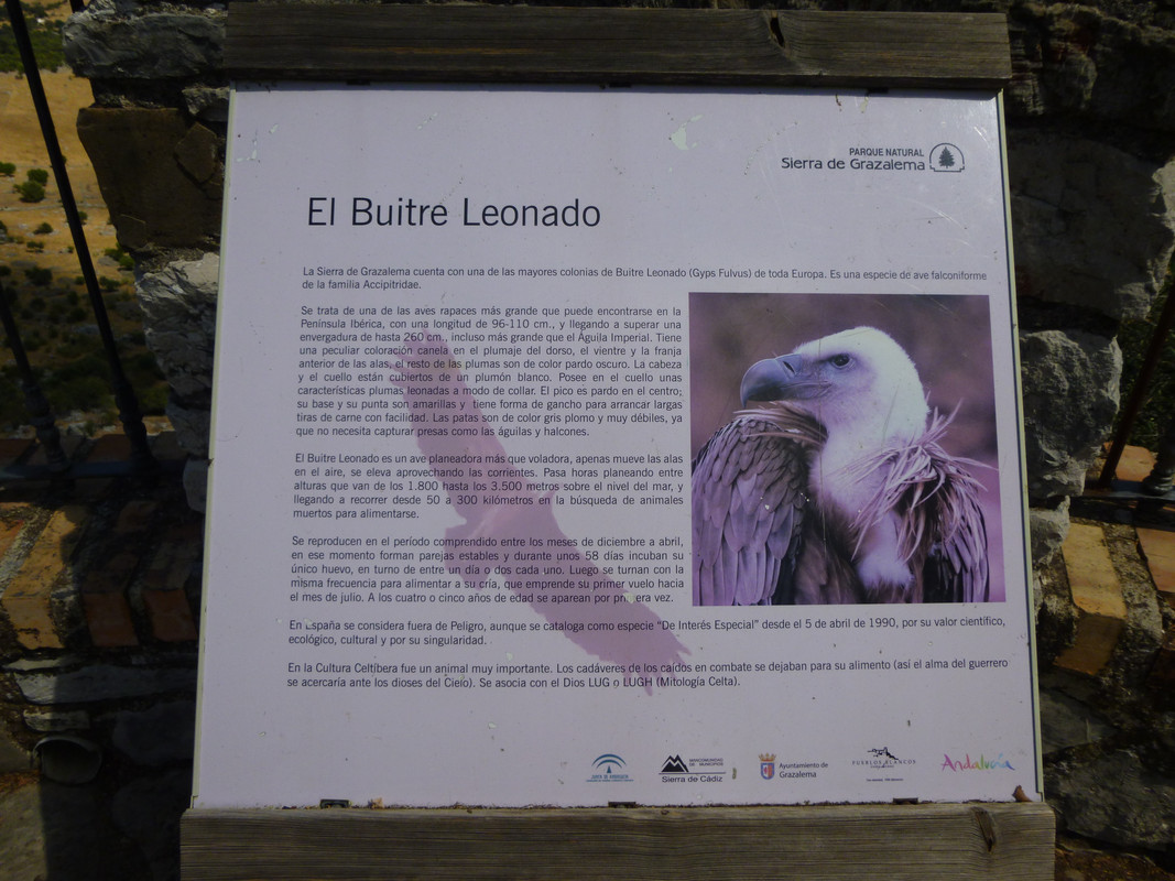 Sign about the local vultures.  Sign is written in Spanish.