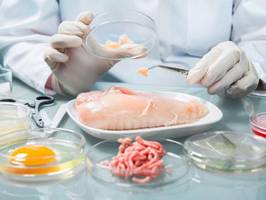В США пищевые отравления чаще всего возникают из-за курятины - исследование