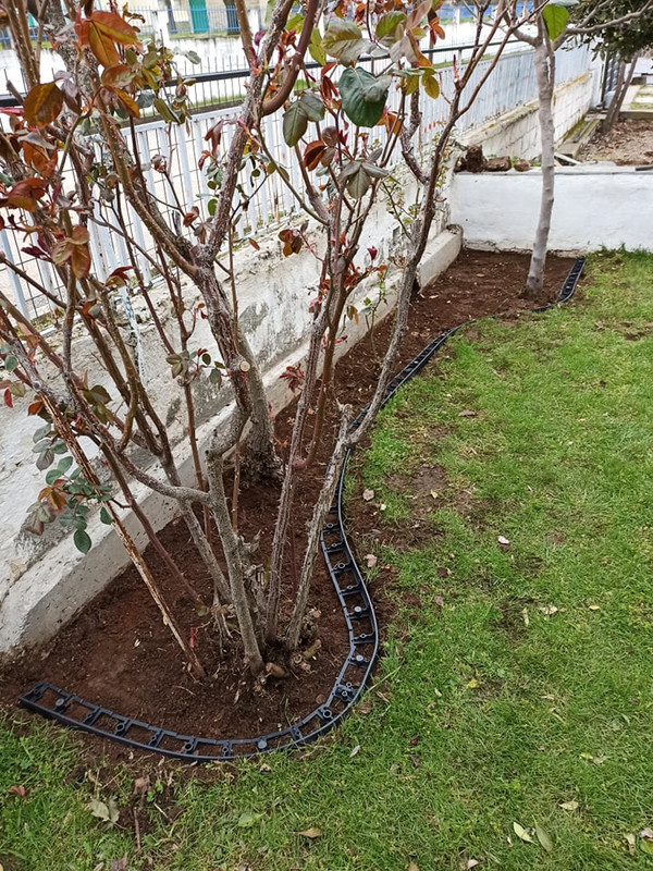 159544286_1177554892678871_5659107927704137828_n