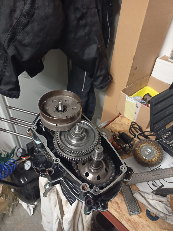 WhatsApp Image 2021-10-09 at 23.26.21 (1)