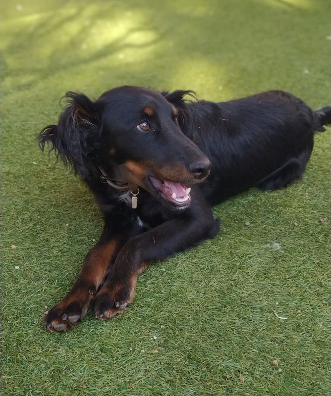 photo_2023-03-24_08-06-55 (3)