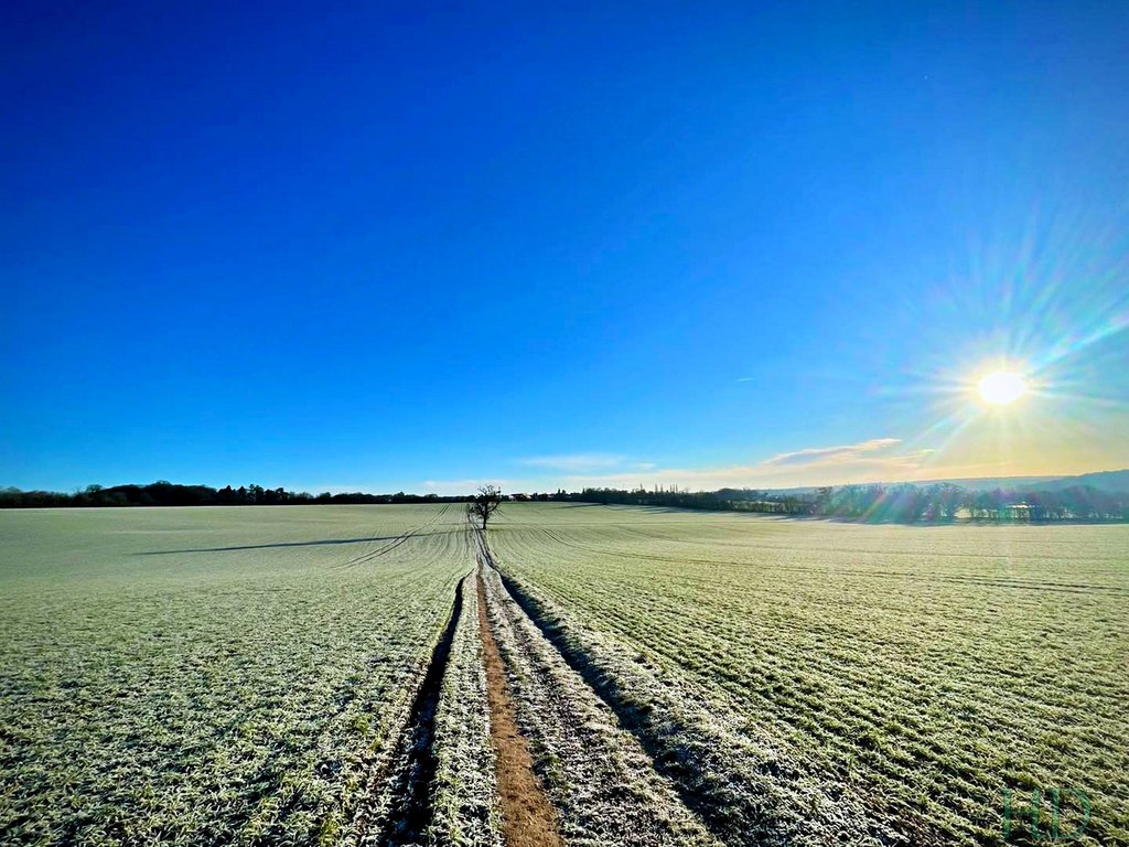 Icy-field-Jan-HD.jpg