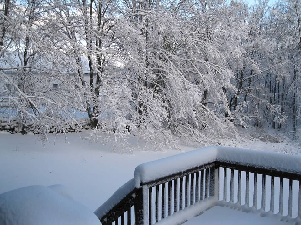 A66AF064-D524-419B-B32A-6590691958AA