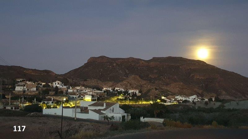 117 Daniel Altaba limaria