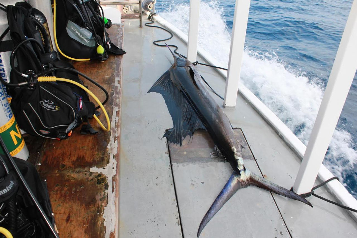 CBCF9209-C706-4592-ACE4-33C3EA39CB84