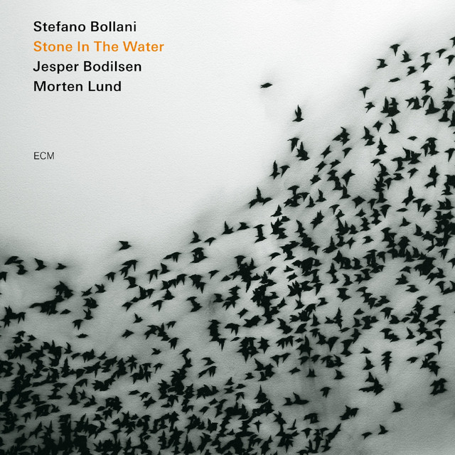 Stefano Bollani Trio • Stone In The Water (2009)  .flac  48.0 kHz 24 bit
