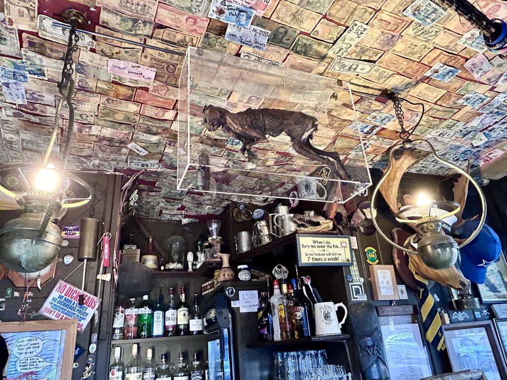 Пёстрая лента. Путешествие по сельским дорогам Англии в мае 2025 г.