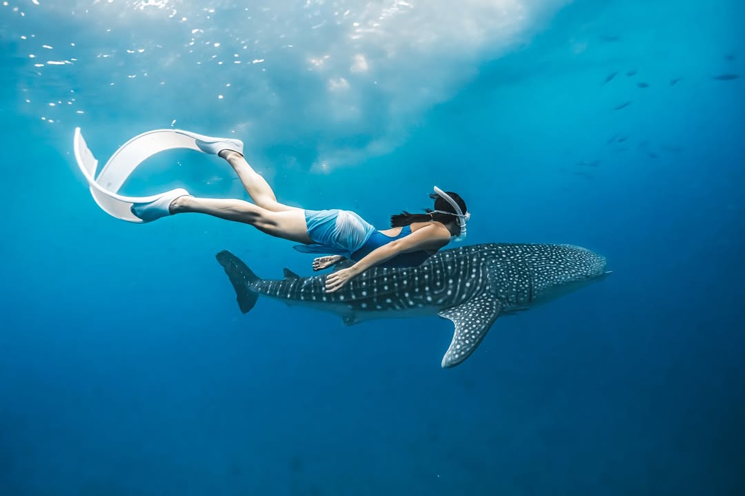 482058556 17946872276948130 8088445306051092842 n