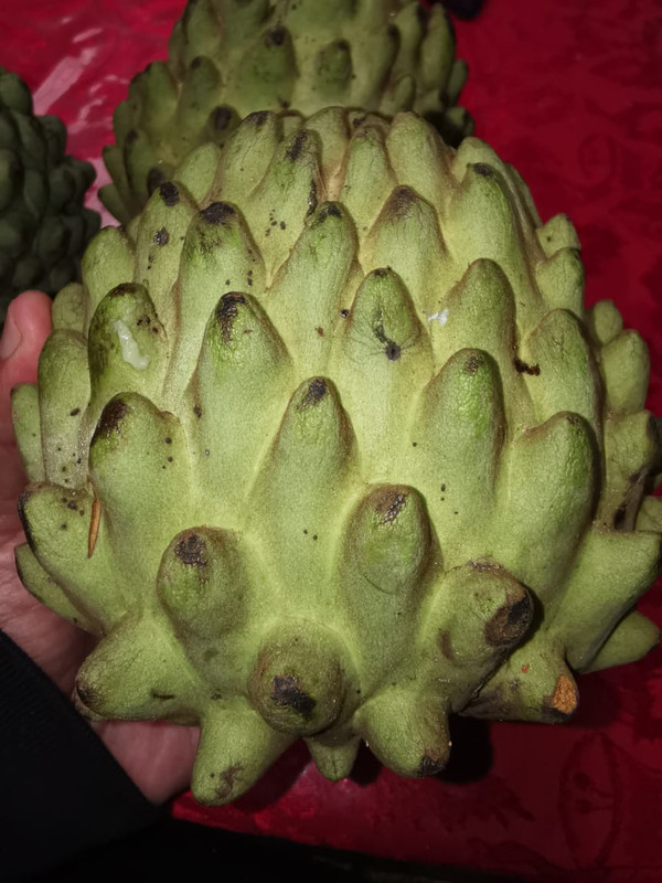 5C28DA6A-8EB0-4DEC-82FD-C6939796B46A