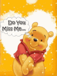 IMG-6993.gif