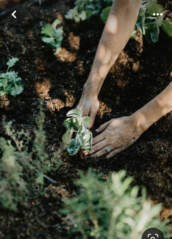 Screenshot_20240331_002007_Pinterest