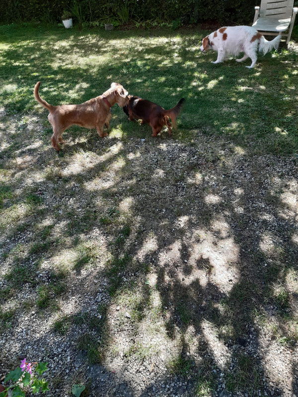 [Image: 20200707-105633.jpg]