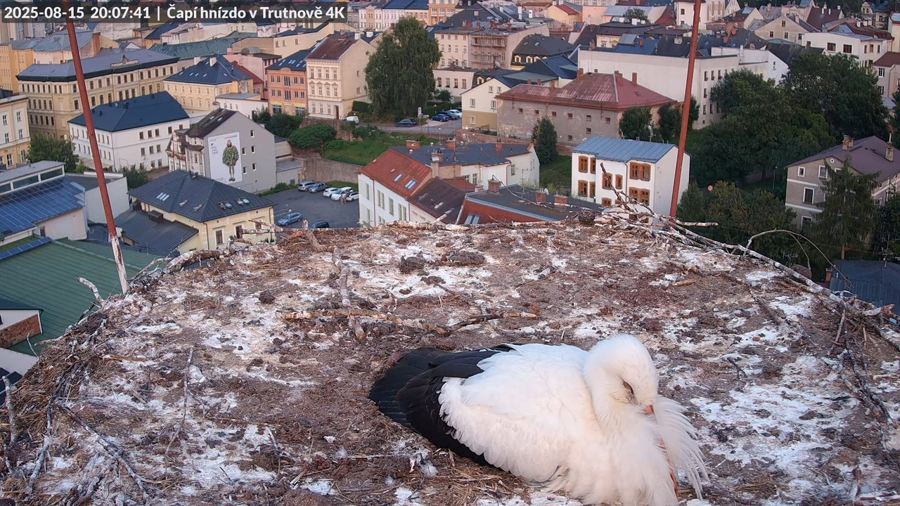 Tiešraide no stārķa ligzdas uz alus darītavas skursteņa Trutnovā 13-16-51 screenshot