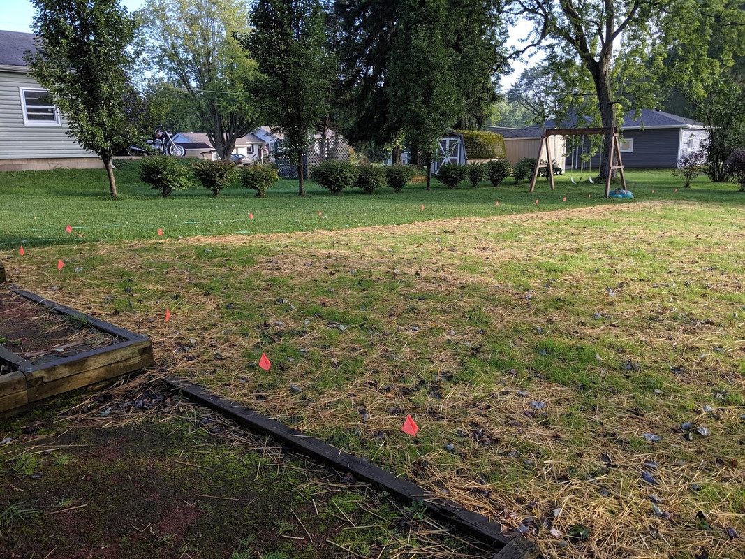 1BCE841A-0025-4042-80AB-A05734FAD409