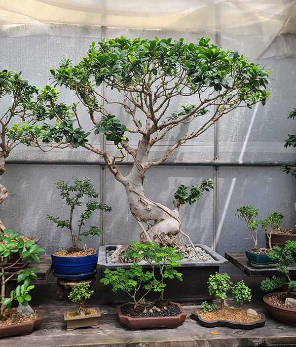 [Image: 20240723-125155.jpg]