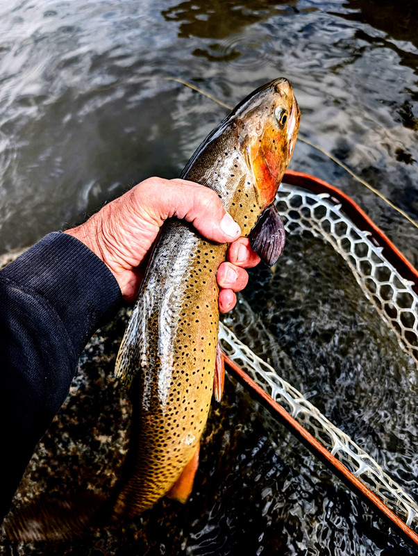 PXL_20250722_162928783~2