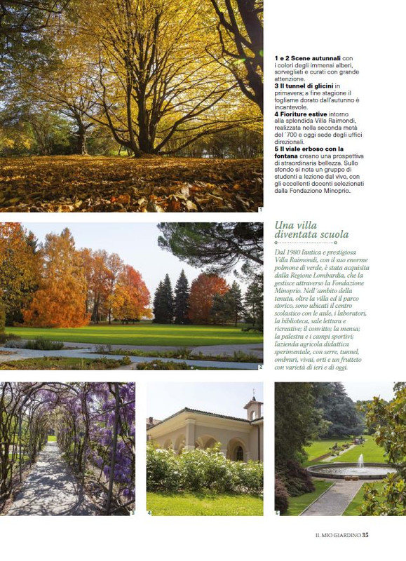 Il Mio Giar Ago-Set 2025 (2)