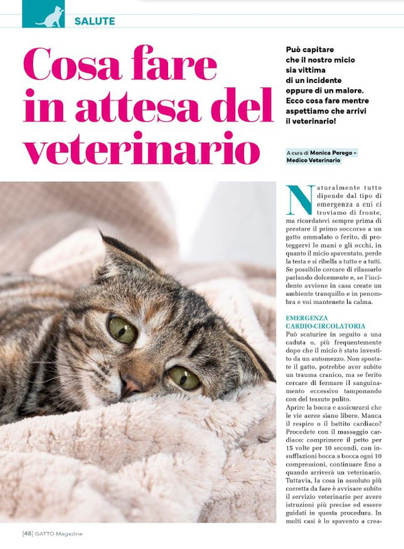 Ga Ma Feb-Mar 2024 (7)