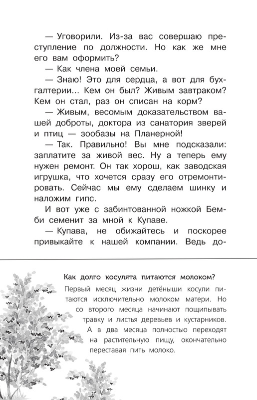 Durova-Natalija-Moj-dom-na-kolosah-page-0018