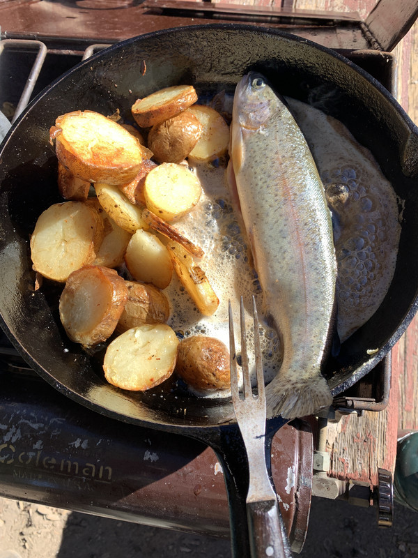 2126E536-1905-42A6-AE8A-099252DAFC65