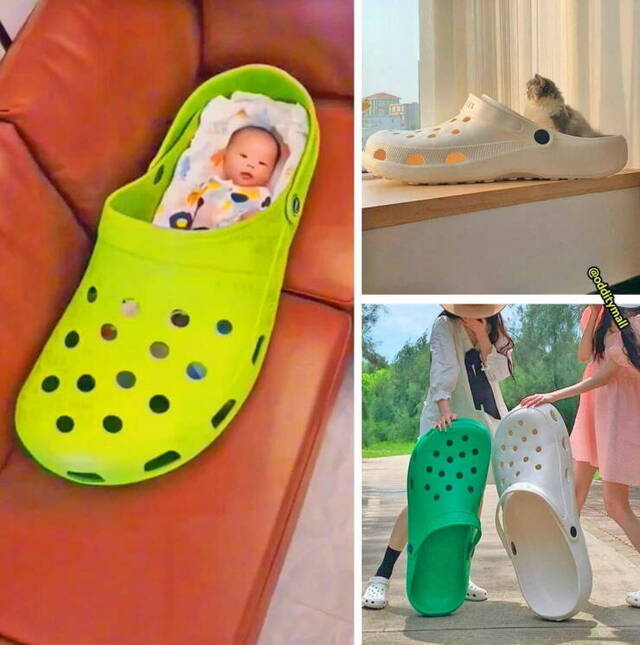 picdump-kw09-2025-002.jpg