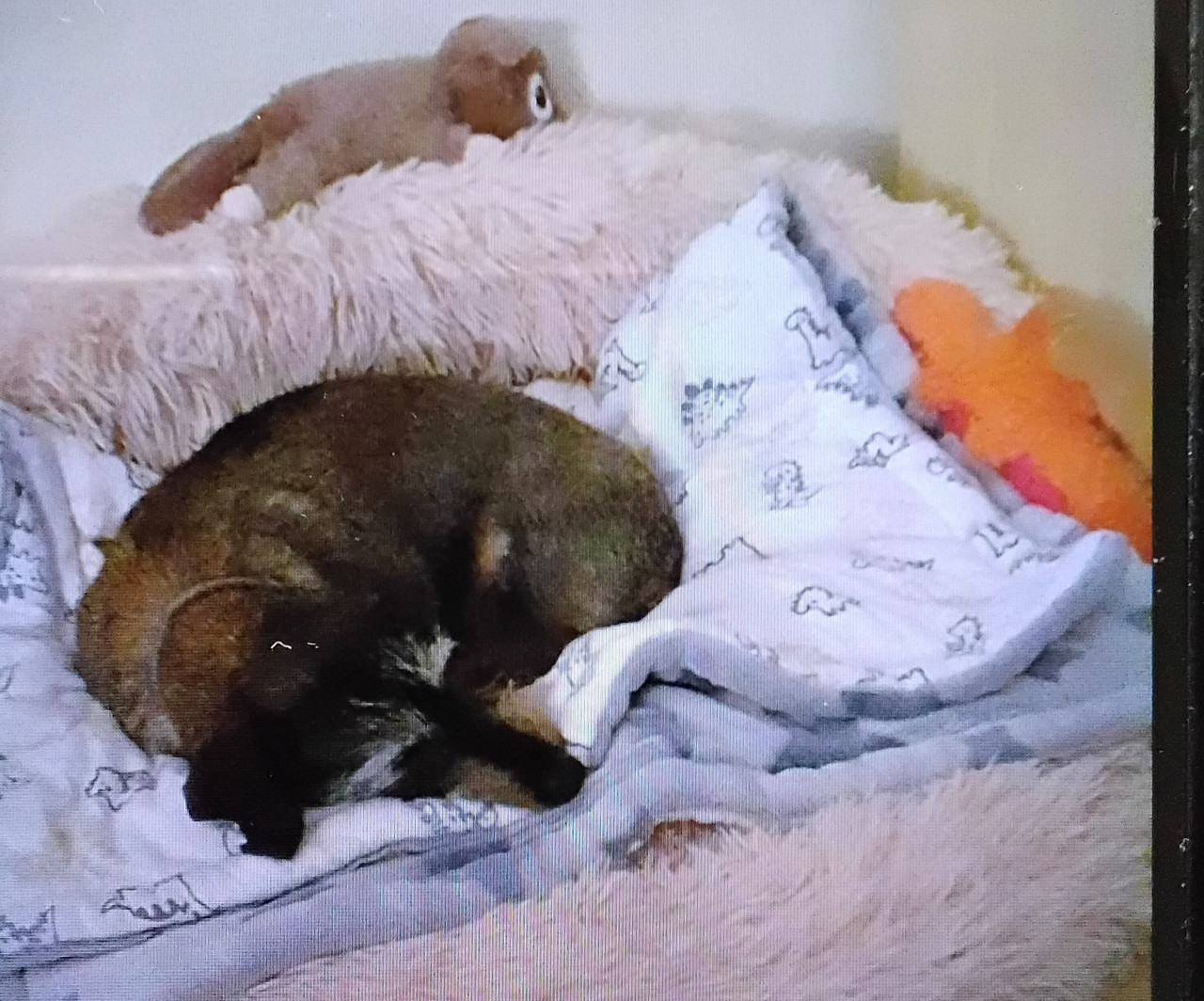 [Image: 20250523-133516.jpg]