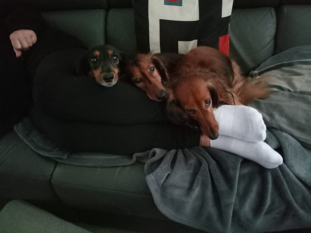 [Image: IMG-20251011-WA0000.jpg]