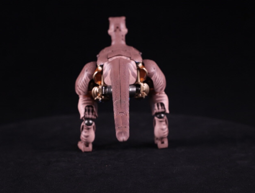 MP-Dinobot-stock-images-04