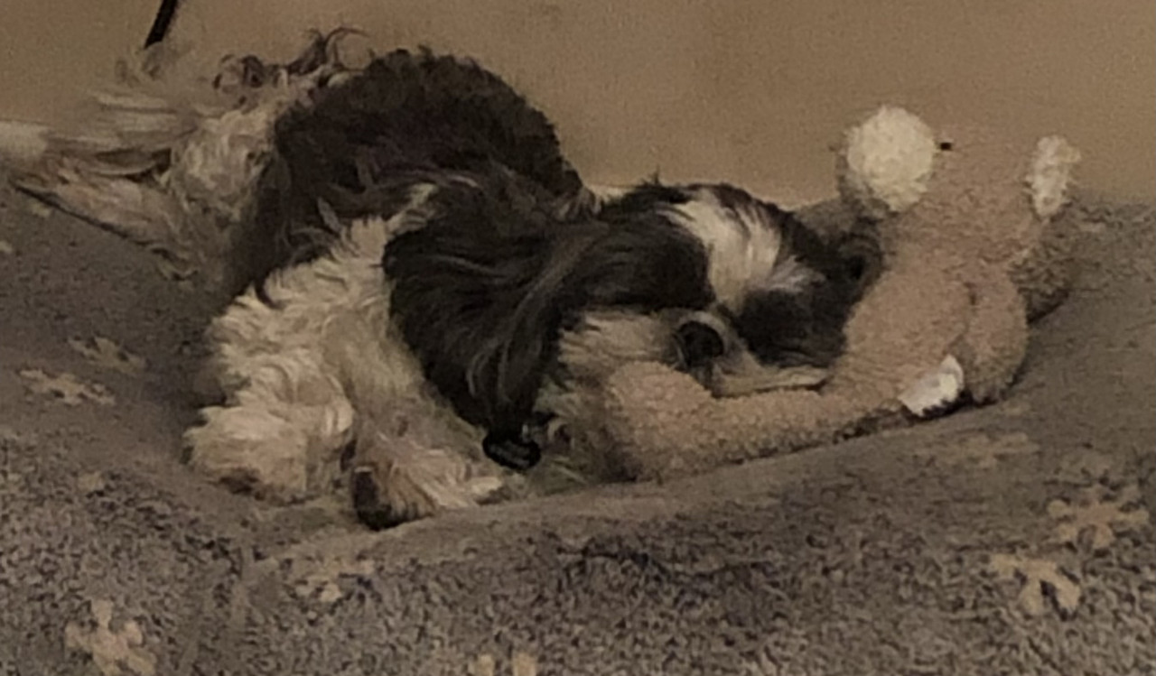 [Image: IMG-7431.jpg]