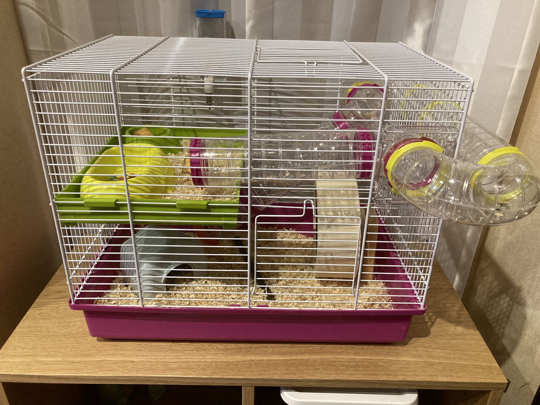 055DFC05-D15A-4A51-8427-6F3619E2C7BA