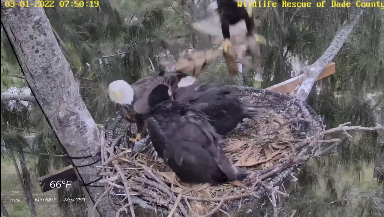 279FD038-A2DF-4952-9DC7-8E160EC77EC3