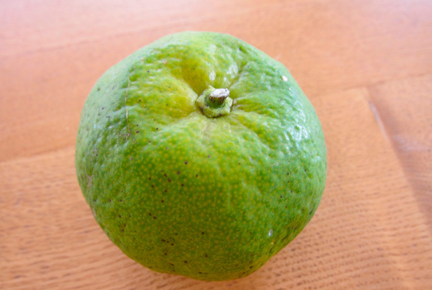 kabuchi Undokai mikan、運動会ミカン」