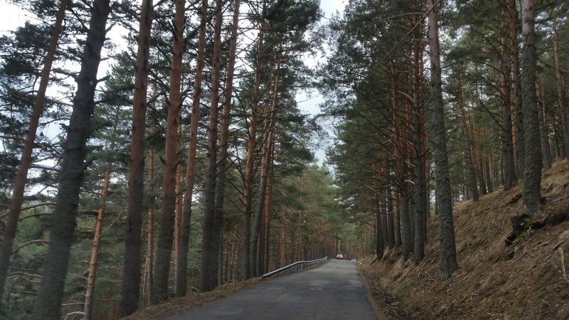 Paseando por España-1991/2016 - Blogs de España - PUERTO DE NAVACERRADA Y COTOS-2006/2009/2013/2016-MADRID (59)